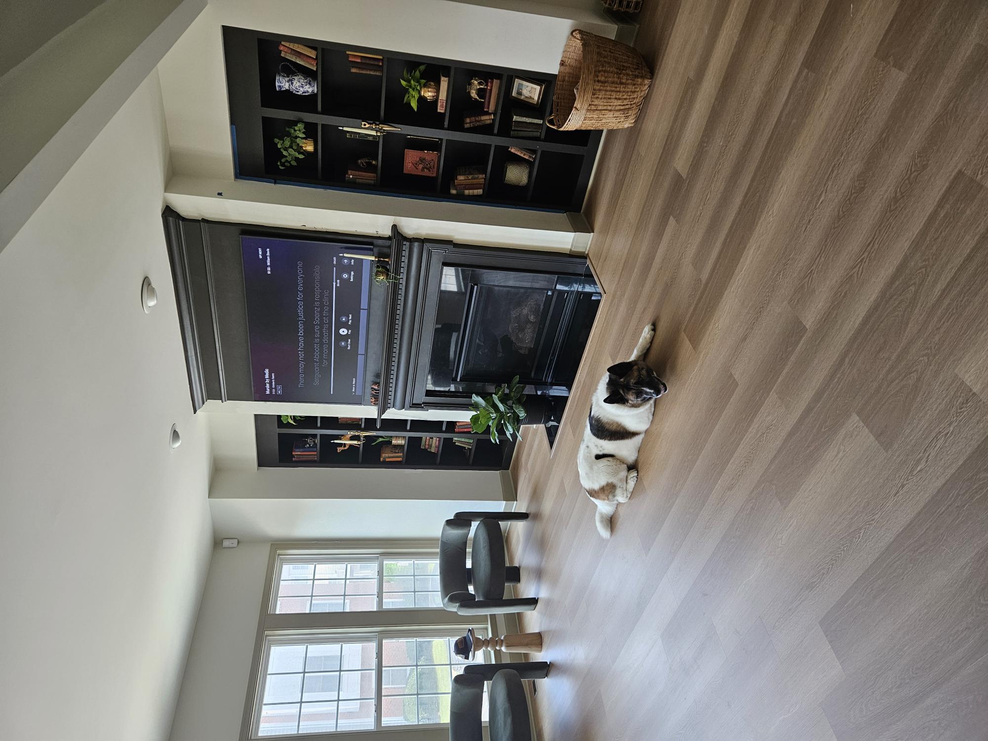 Black and white dog laying on hard wood floor in front of a black fire place