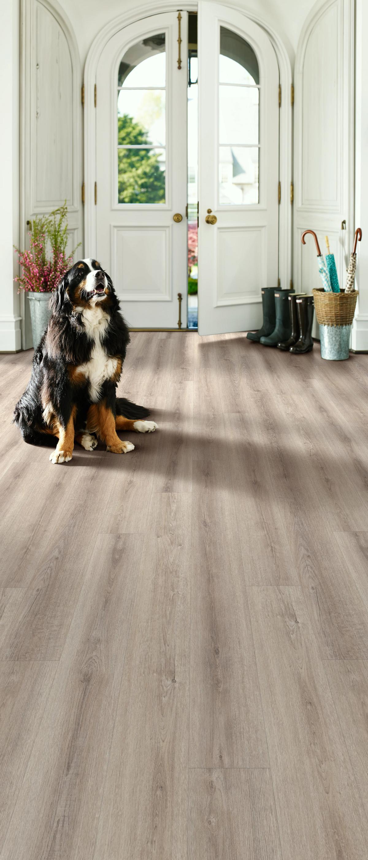 Headshot of Donna Teagle