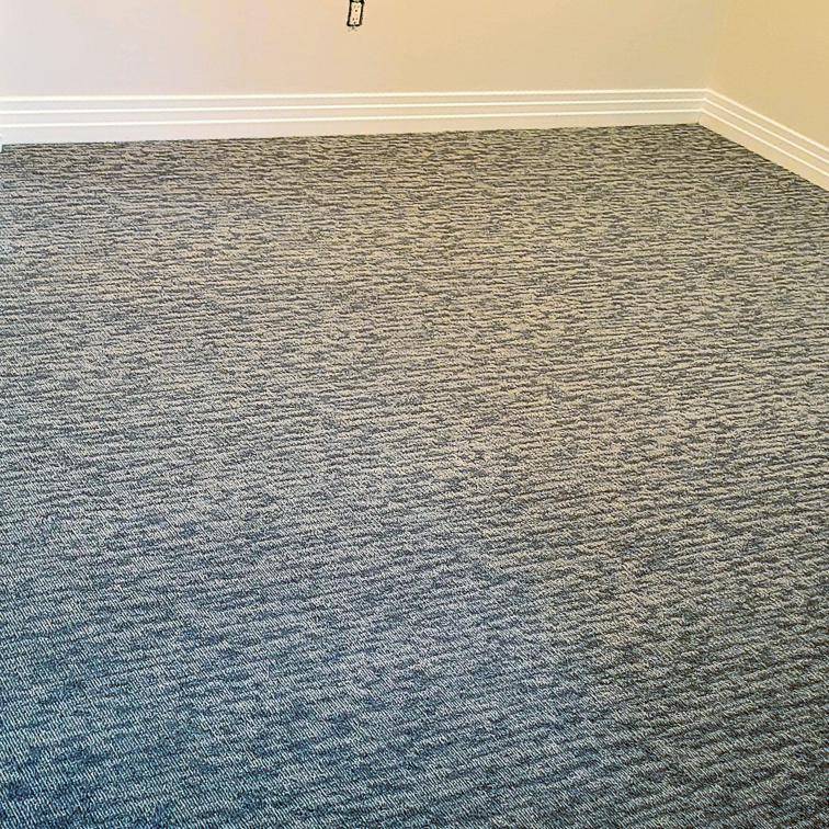 A room with soft blue carpet and a white wall, showcasing a tranquil and inviting atmosphere.