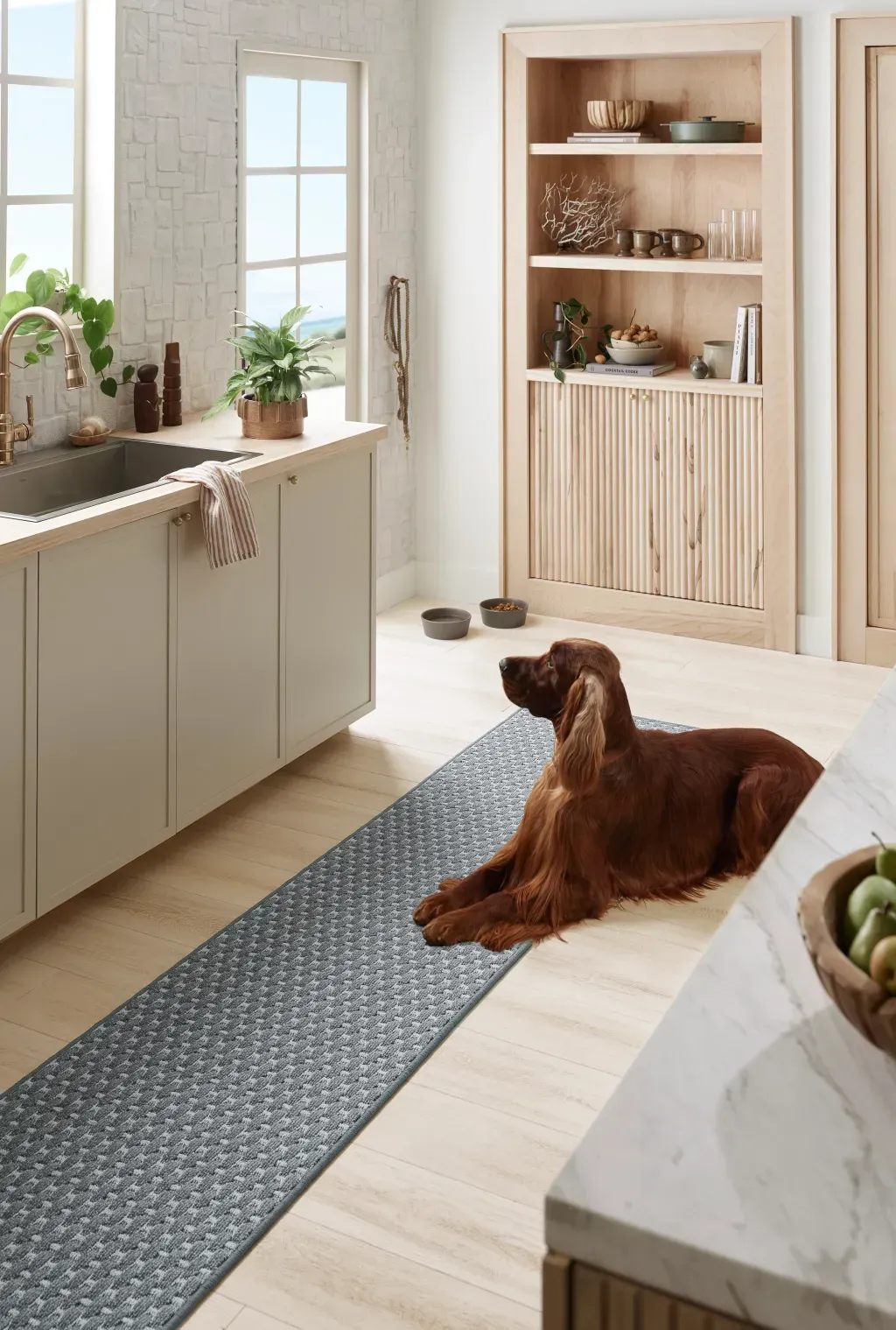 wood flooring in kitchen with dog
