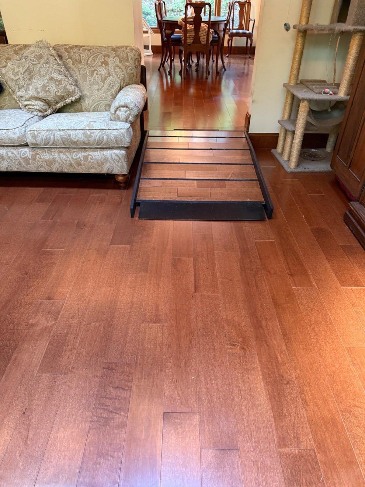 featured decorative image