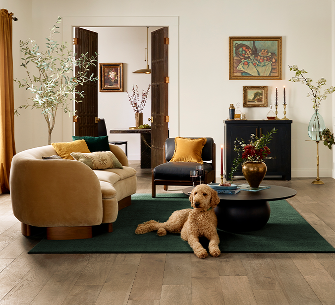 Collage of dogs playing