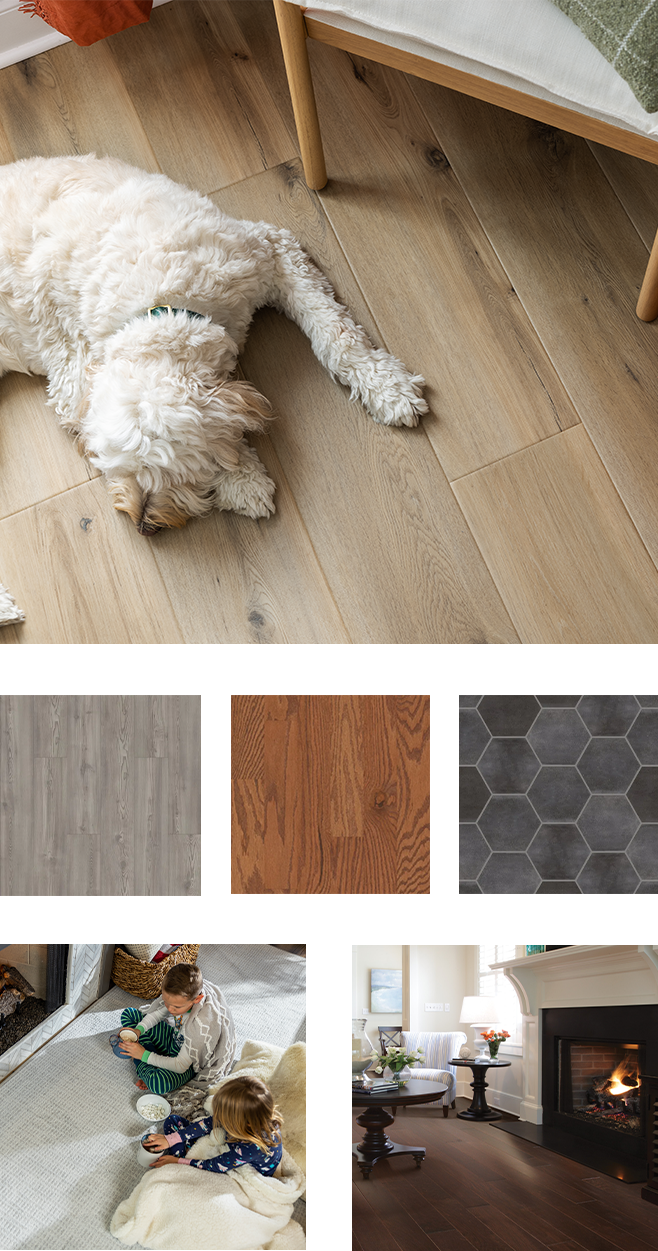  Dog resting on luxury flooring
