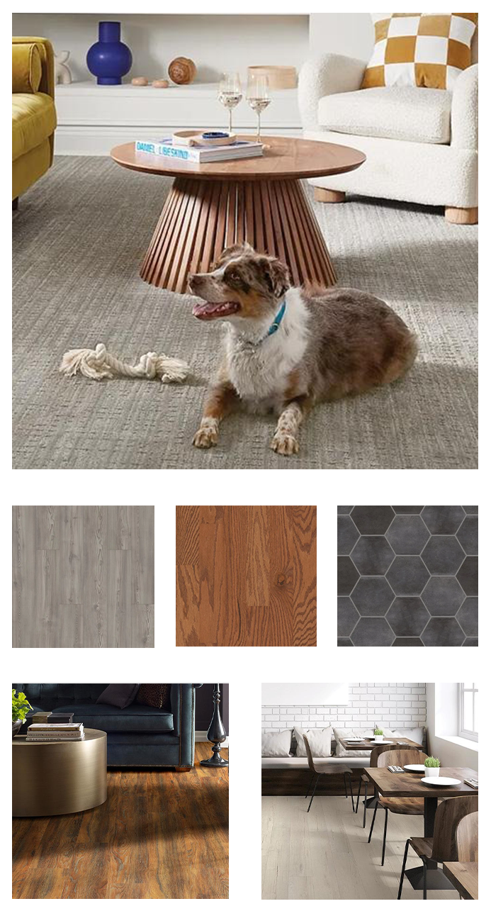  Dog resting on luxury flooring