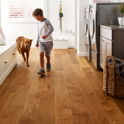 Young boy and dog walking in laundry room 