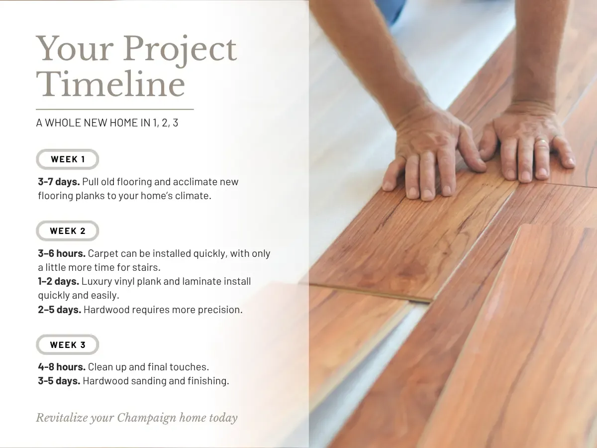  Informative flyer outlining the timeline of a project with dates and major tasks highlighted for clarity.