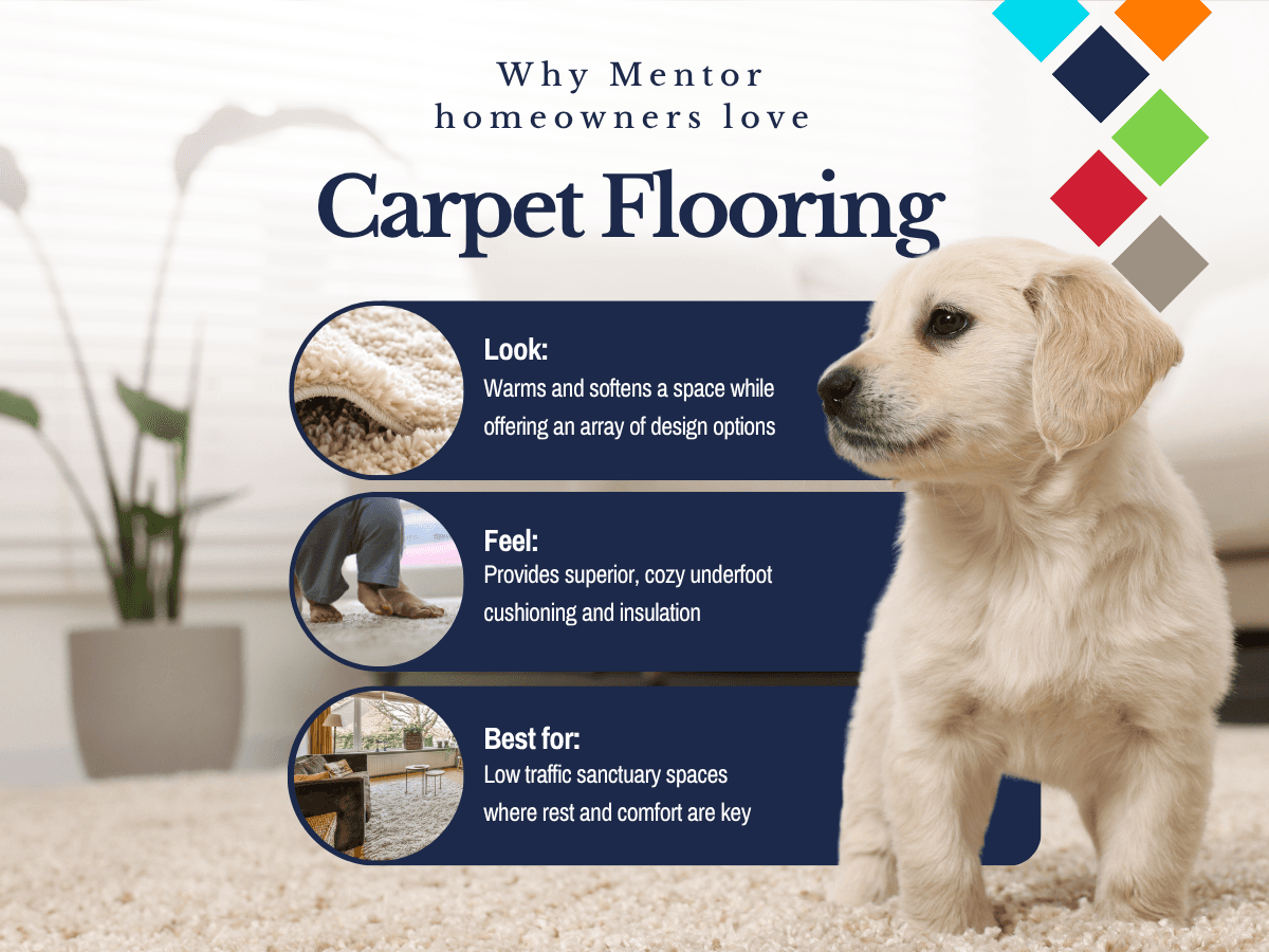 A well decorated space featuring plush carpet flooring, emphasizing its appeal and benefits for homeowners.