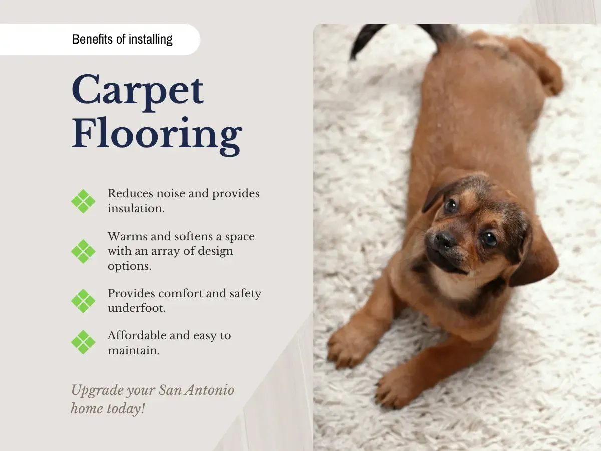 A relaxed dog on a carpet, with the phrase "Carpet Cleaning Benefits" emphasizing the importance of maintaining clean carpets.