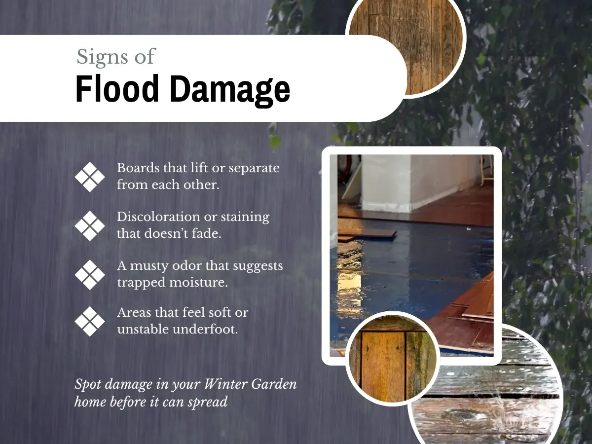 Signs of Flood Damage Tips