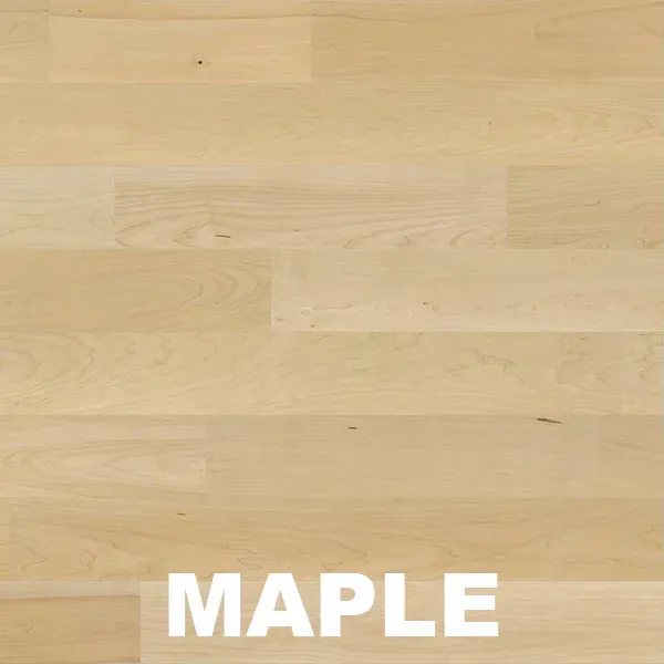 Maple Type