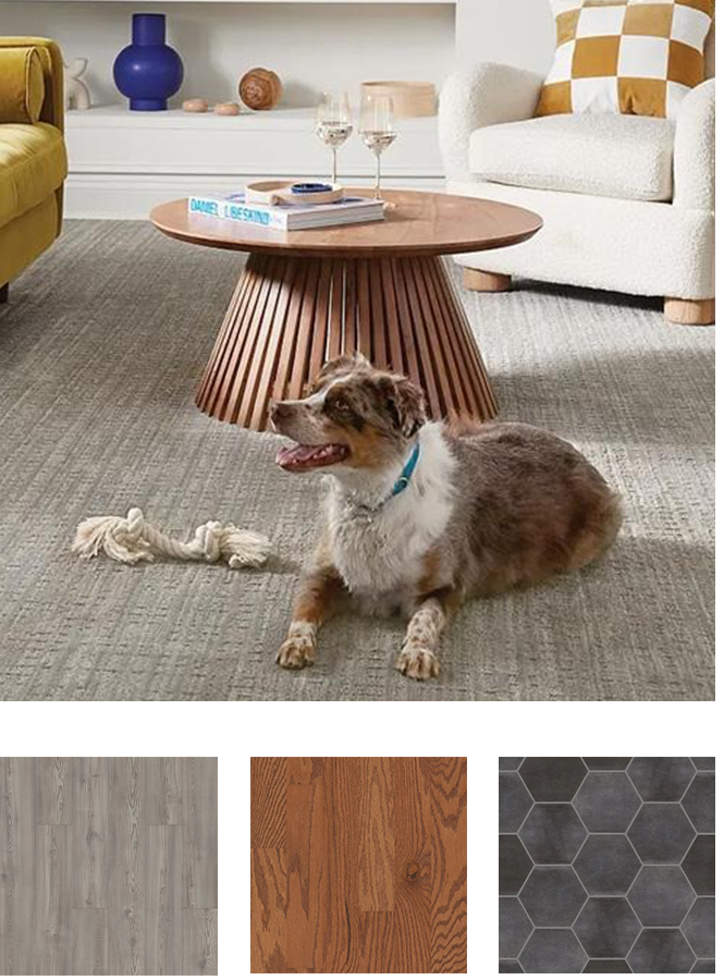 dog laying on carpet with other flooring swatches in grid
