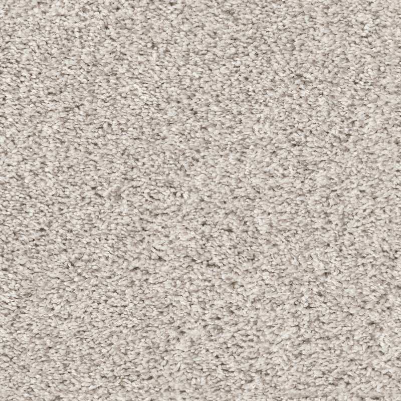 light floor carpet